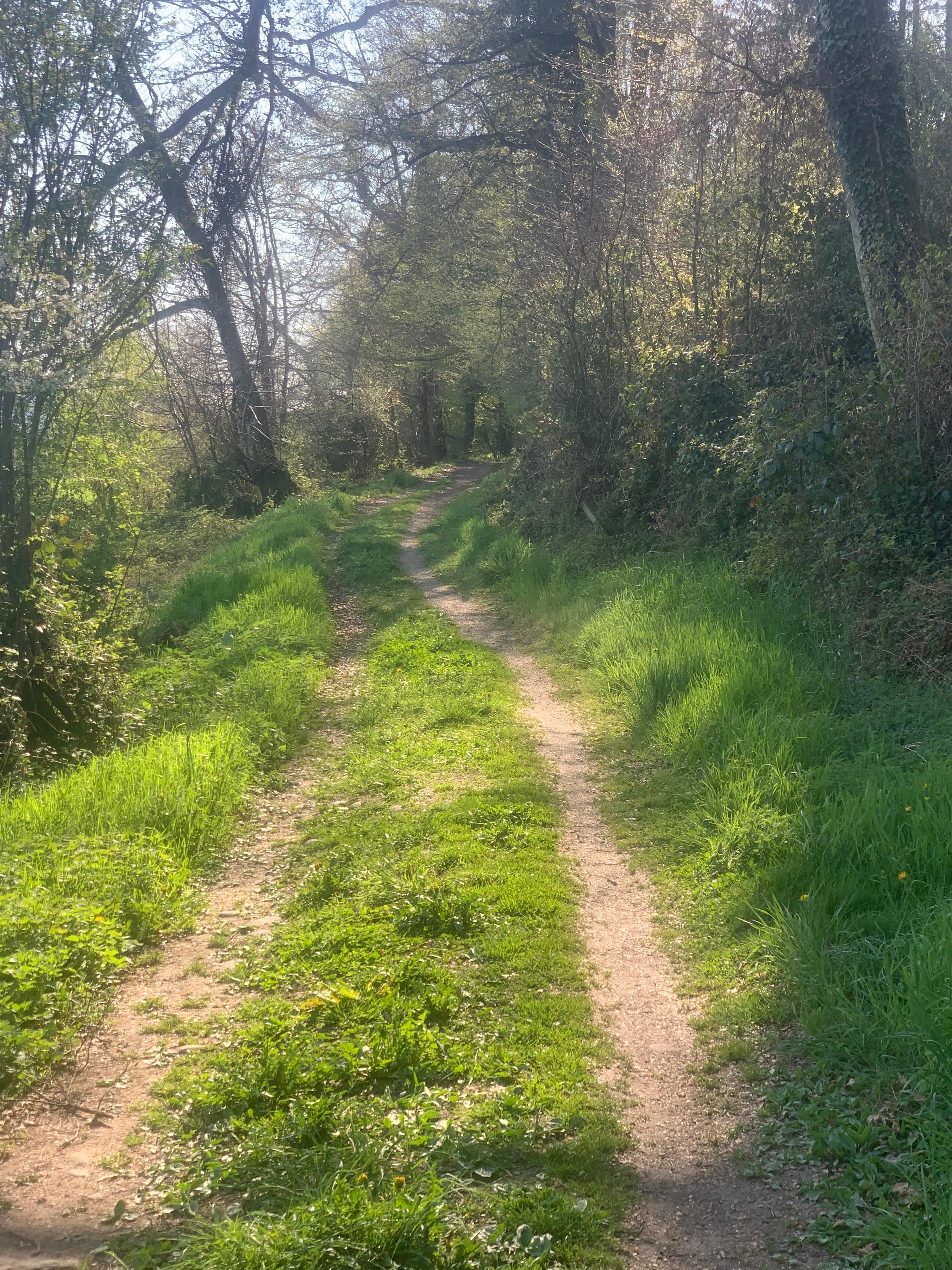 Einladung zum Regio-Wandergottesdienst am 29. Mai 2025 – Gemeinsam unterwegs in der Natur